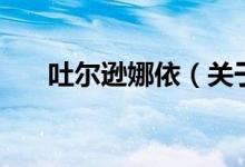 吐尔逊娜依（关于吐尔逊娜依的介绍）