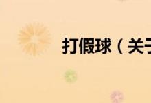 打假球（关于打假球的介绍）