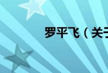 罗平飞（关于罗平飞的介绍）