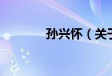 孙兴怀（关于孙兴怀的介绍）