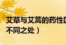 艾草与艾蒿的药性区别有哪些（艾草与艾蒿的不同之处）