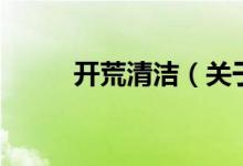 开荒清洁（关于开荒清洁的介绍）