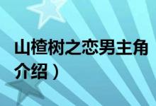 山楂树之恋男主角（关于山楂树之恋男主角的介绍）