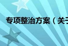 专项整治方案（关于专项整治方案的介绍）