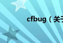 cfbug（关于cfbug的介绍）