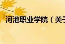 河池职业学院（关于河池职业学院的介绍）