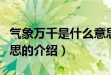 气象万千是什么意思（关于气象万千是什么意思的介绍）