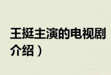 王挺主演的电视剧（关于王挺主演的电视剧的介绍）