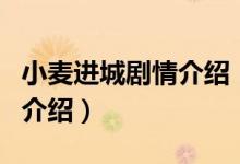 小麦进城剧情介绍（关于小麦进城剧情介绍的介绍）