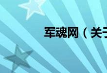 军魂网（关于军魂网的介绍）