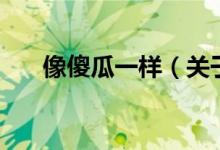 像傻瓜一样（关于像傻瓜一样的介绍）