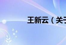王新云（关于王新云的介绍）