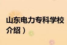 山东电力专科学校（关于山东电力专科学校的介绍）