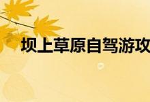 坝上草原自驾游攻略（都有什么好玩的）