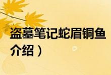 盗墓笔记蛇眉铜鱼（关于盗墓笔记蛇眉铜鱼的介绍）