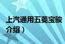 上汽通用五菱宝骏（关于上汽通用五菱宝骏的介绍）