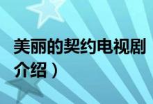 美丽的契约电视剧（关于美丽的契约电视剧的介绍）