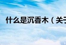 什么是沉香木（关于什么是沉香木的介绍）