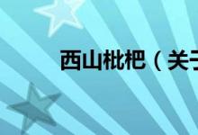 西山枇杷（关于西山枇杷的介绍）