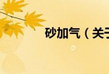 砂加气（关于砂加气的介绍）