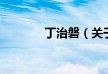 丁治磐（关于丁治磐的介绍）