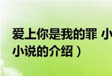 爱上你是我的罪 小说（关于爱上你是我的罪 小说的介绍）
