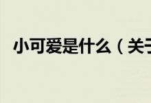 小可爱是什么（关于小可爱是什么的介绍）