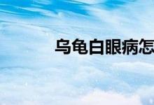 乌龟白眼病怎么办（怎么治疗）