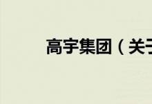 高宇集团（关于高宇集团的介绍）