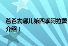 爸爸去哪儿第四季阿拉蕾（关于爸爸去哪儿第四季阿拉蕾的介绍）