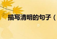 描写清明的句子（描写清明节的好句子）