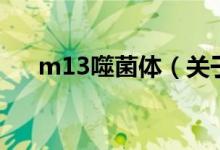 m13噬菌体（关于m13噬菌体的介绍）