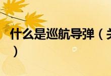 什么是巡航导弹（关于什么是巡航导弹的介绍）