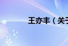 王亦丰（关于王亦丰的介绍）