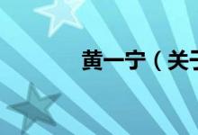 黄一宁（关于黄一宁的介绍）
