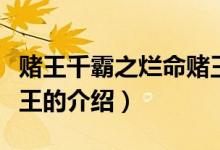 赌王千霸之烂命赌王（关于赌王千霸之烂命赌王的介绍）