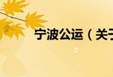 宁波公运（关于宁波公运的介绍）