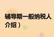 辅导期一般纳税人（关于辅导期一般纳税人的介绍）