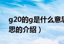 g20的g是什么意思（关于g20的g是什么意思的介绍）