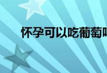 怀孕可以吃葡萄吗（葡萄的营养价值）