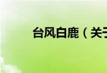 台风白鹿（关于台风白鹿的介绍）