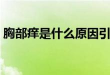 胸部痒是什么原因引起（胸部痒是什么情况）