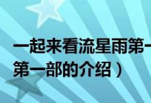 一起来看流星雨第一部（关于一起来看流星雨第一部的介绍）