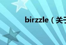 birzzle（关于birzzle的介绍）