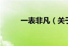 一表非凡（关于一表非凡的介绍）