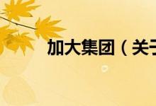 加大集团（关于加大集团的介绍）