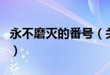 永不磨灭的番号（关于永不磨灭的番号的介绍）