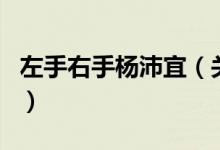 左手右手杨沛宜（关于左手右手杨沛宜的介绍）