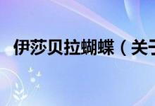 伊莎贝拉蝴蝶（关于伊莎贝拉蝴蝶的介绍）