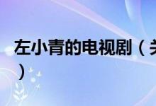 左小青的电视剧（关于左小青的电视剧的介绍）